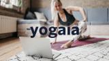 Mikä on Yogaia-lisäpalvelu?
