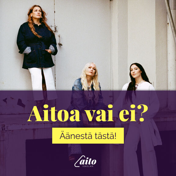 aito-iskelm-supla