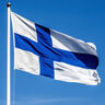 Hyvää suomalaisuuden päivää!